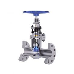 Control Globe Valve